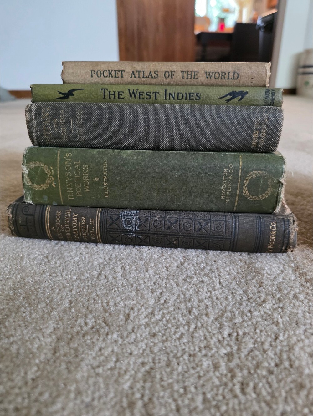 Antique Books | Green Shades  | Dark Acadamia | Bundle |